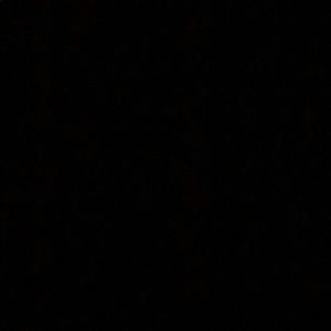 Meet your Posher, Logan